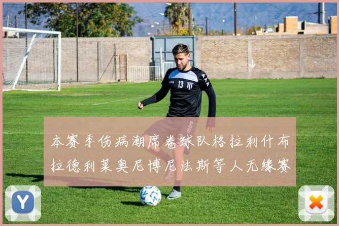 本赛季伤病潮席卷球队格拉利什布拉德利莱奥尼博尼法斯等人无缘赛季余下比赛